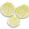 Almofadas de polimento para pedra/linóleo/PVC 2.863-198.0