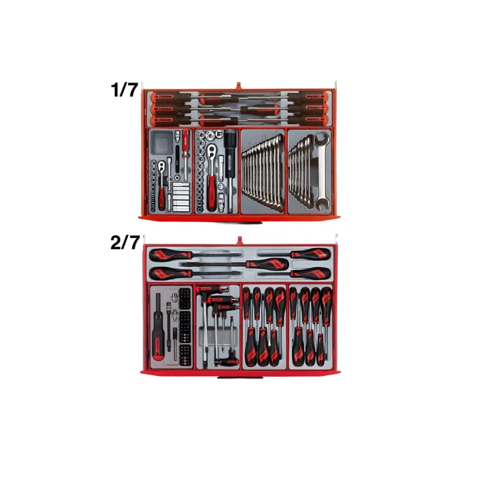 Carro de ferramentas Teng Tools TCMM 491N