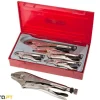 Conjunto de alicates de fixação 5pcs Teng Tools TTVG05