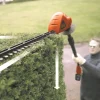 Corta-Sebes de Pértiga 18V 2.0Ah 43cm Black & Decker GTC1843L20