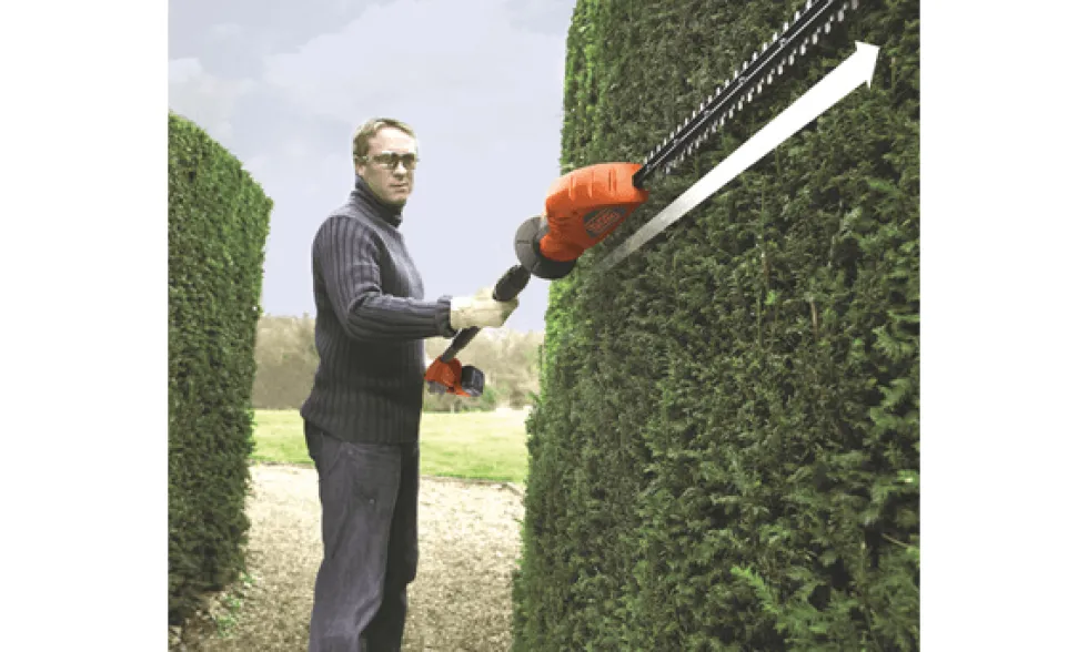 Corta-Sebes de Pértiga 18V 2.0Ah 43cm Black & Decker GTC1843L20