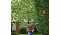 Corta-Sebes de Pértiga 550W Black & Decker PH5551