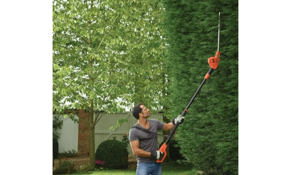 Corta-Sebes de Pértiga 550W Black & Decker PH5551