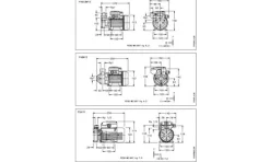 Electrobomba Periférica 0,5HP Monofásica Lowara PM 16 230V
