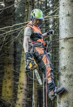 Eletrosserra 35cm XR Flexvolt 54V Dewalt DCMCST635N-XJ