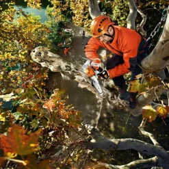 Eletrosserra MSA 161 T/ Lâmina 25 cm STIHL 12522000067