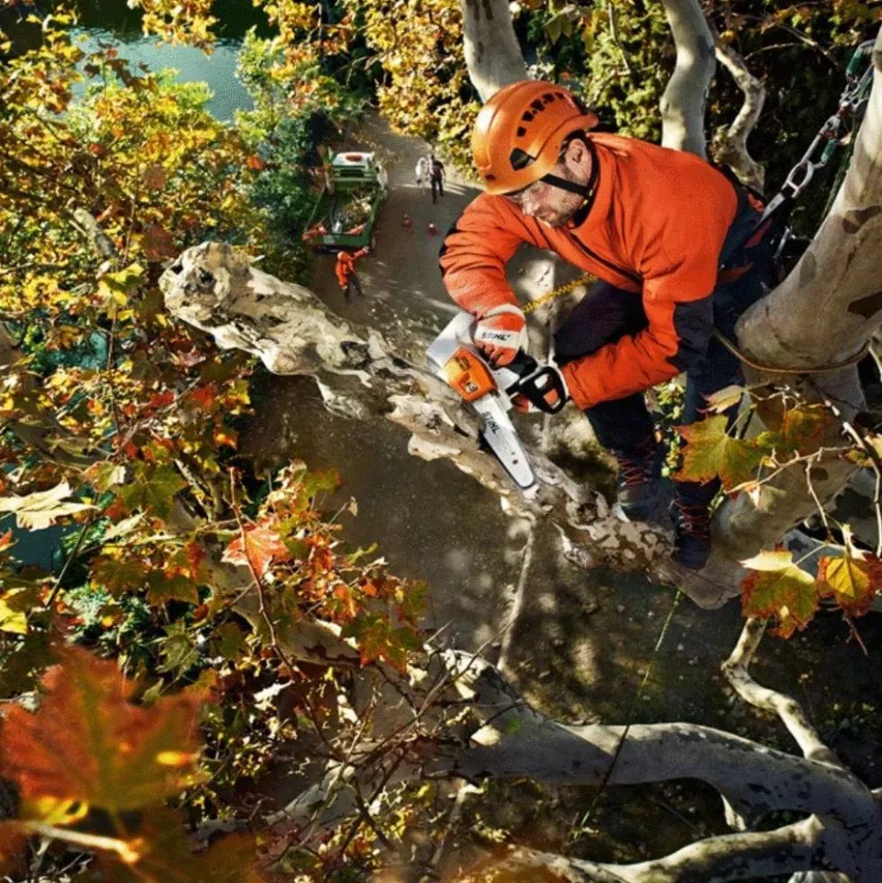 Eletrosserra MSA 161 T/ Lâmina 25 cm STIHL 12522000067