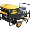 Gerador a Gasolina Arranque Elétrico Motor Vanguard AY-16000 V TX Ayerbe 5418000