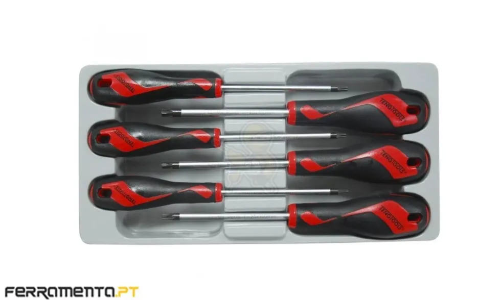Jogo Chaves de Fenda Torx Teng Tools MD906N1