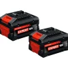 Kit Baterias EXPERT EXBA18V-80 + EXAL18V-320 Bosch 1600A0373X
