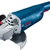 Kit de 2 Rebarbadoras GWS 20-230 P + GWS 880 Bosch 06018C1108