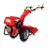 Motocultivador Diesel Motor F70D AE Fort 280
