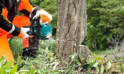 Motosserra de Poda 40V máx. XGT Makita UC002GZ