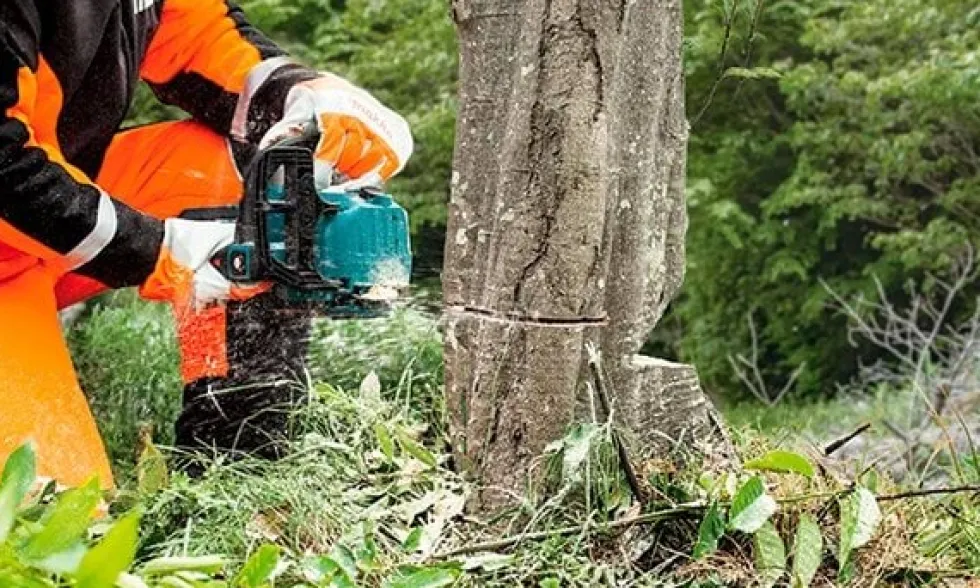 Motosserra de Poda 40V máx. XGT Makita UC002GZ