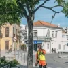 Podadora Telescópica a Bateria 36V 25cm Husqvarna 530iPT5