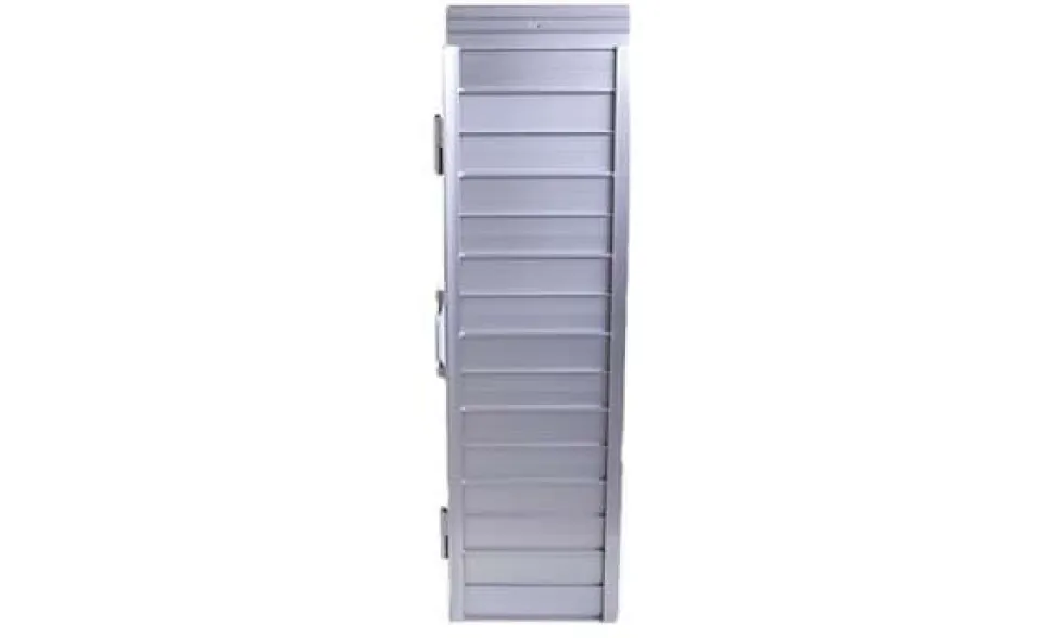 Rampa de Acesso Dobrável 125cm Great Tool RAMP125